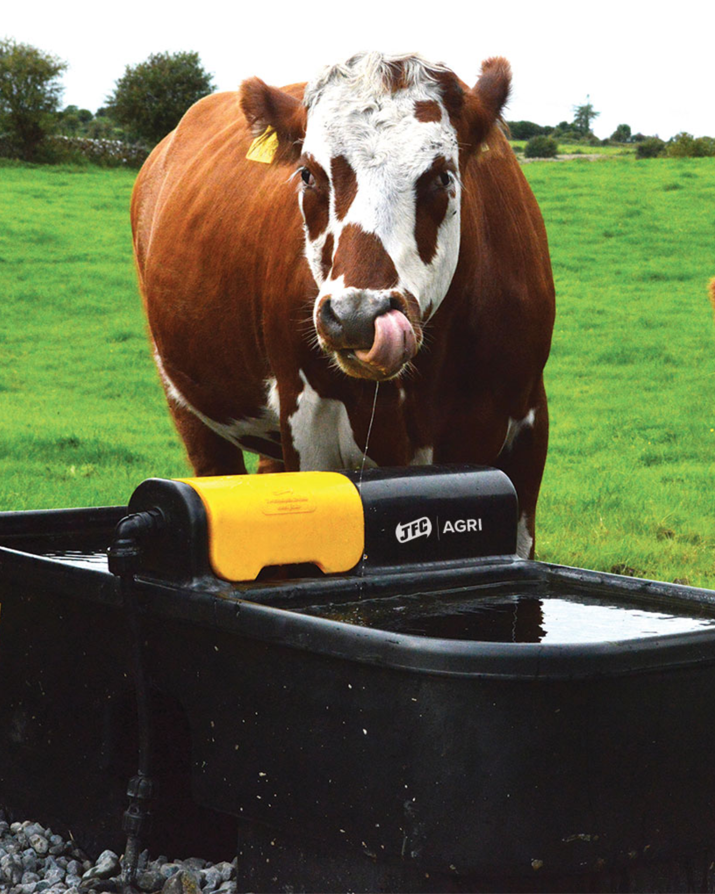 Double Chambered Trough with Fast Fill5