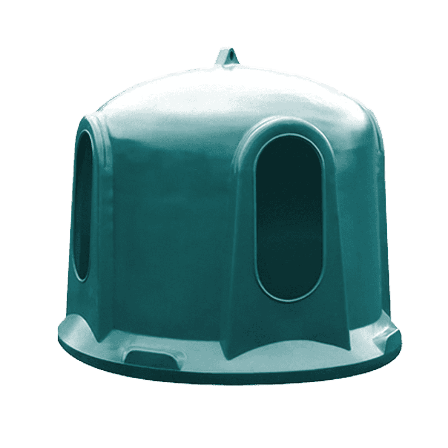 product239