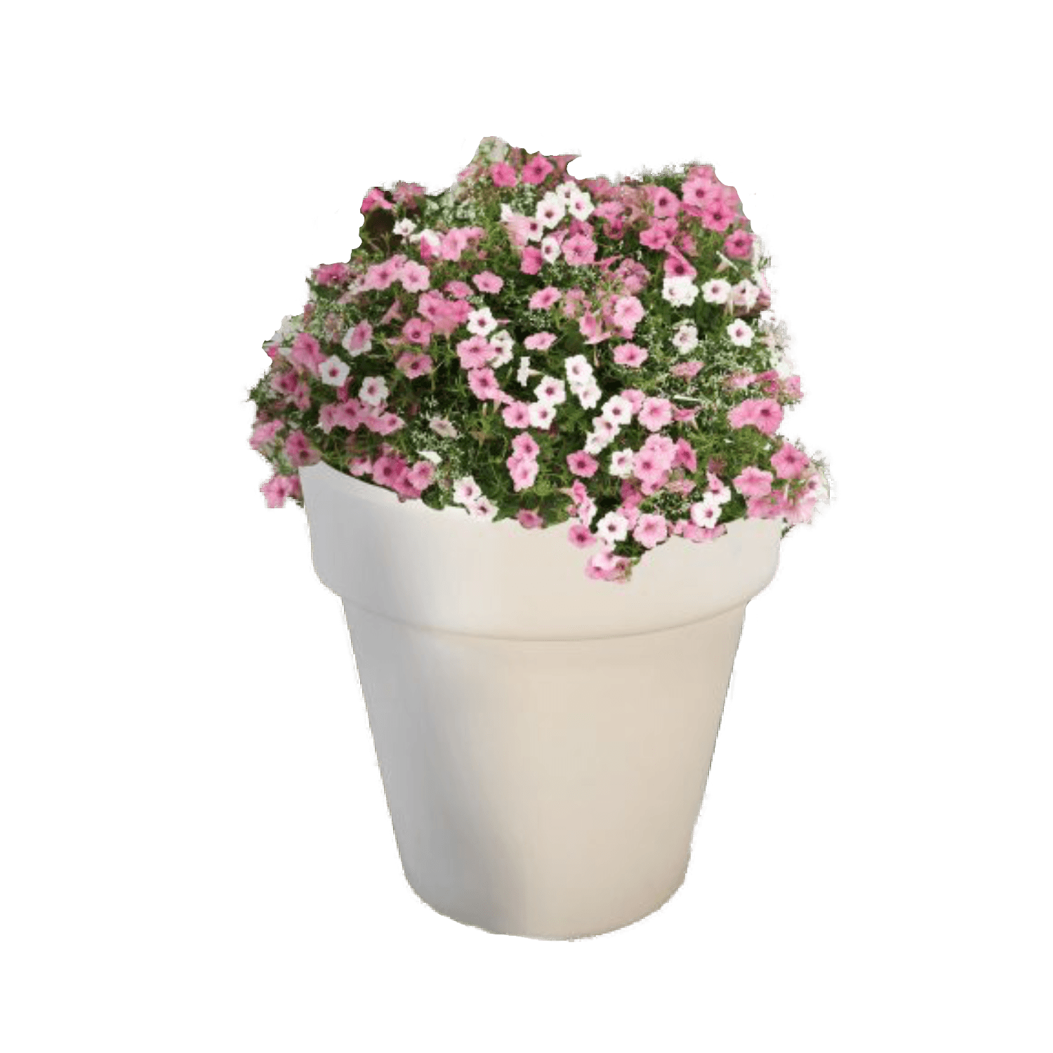 product237