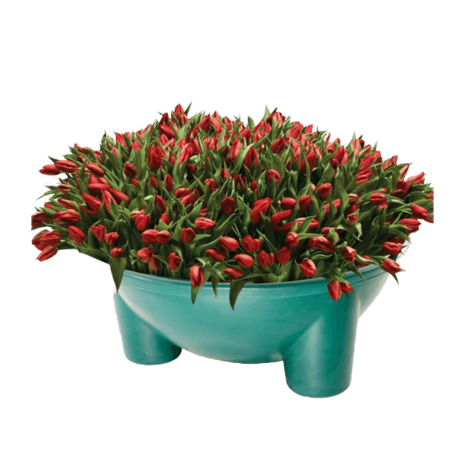 product235
