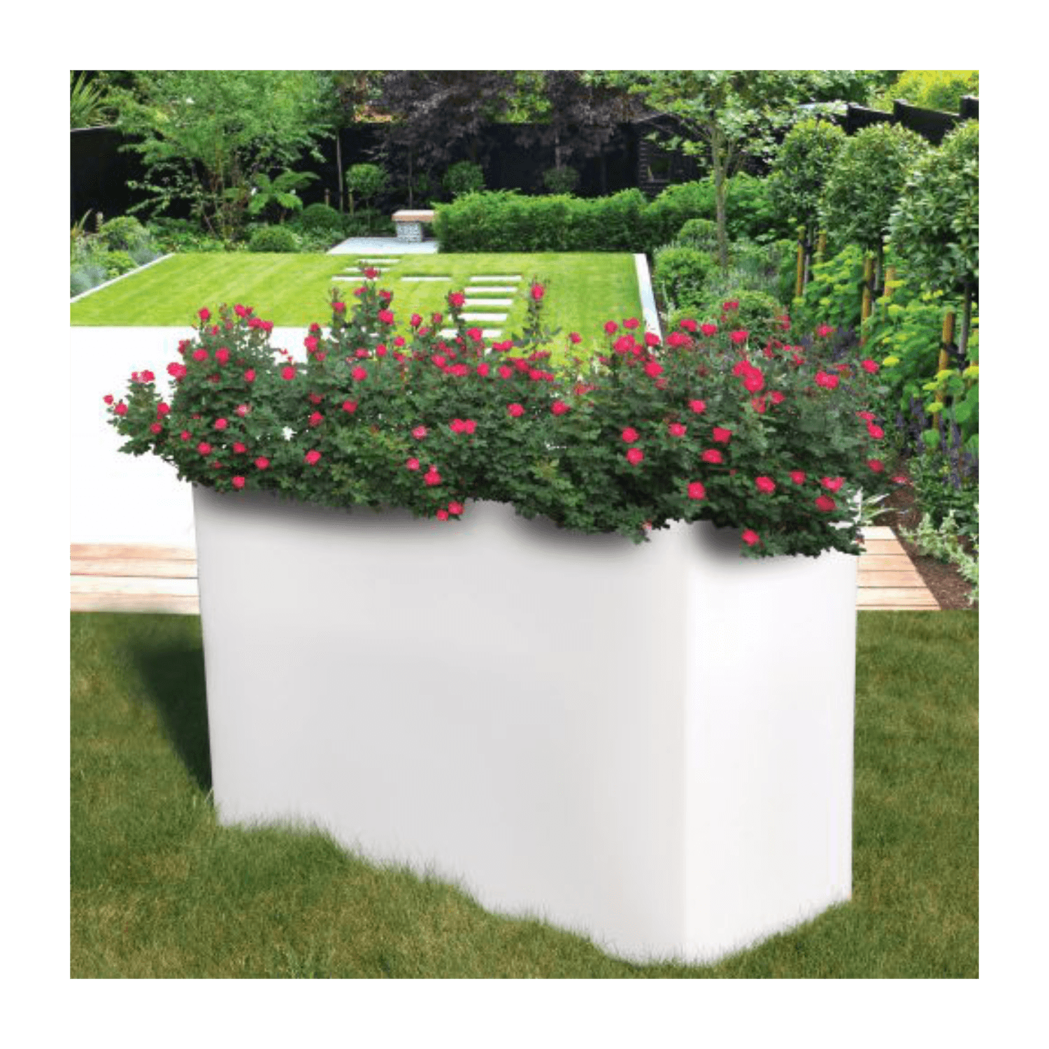 product236