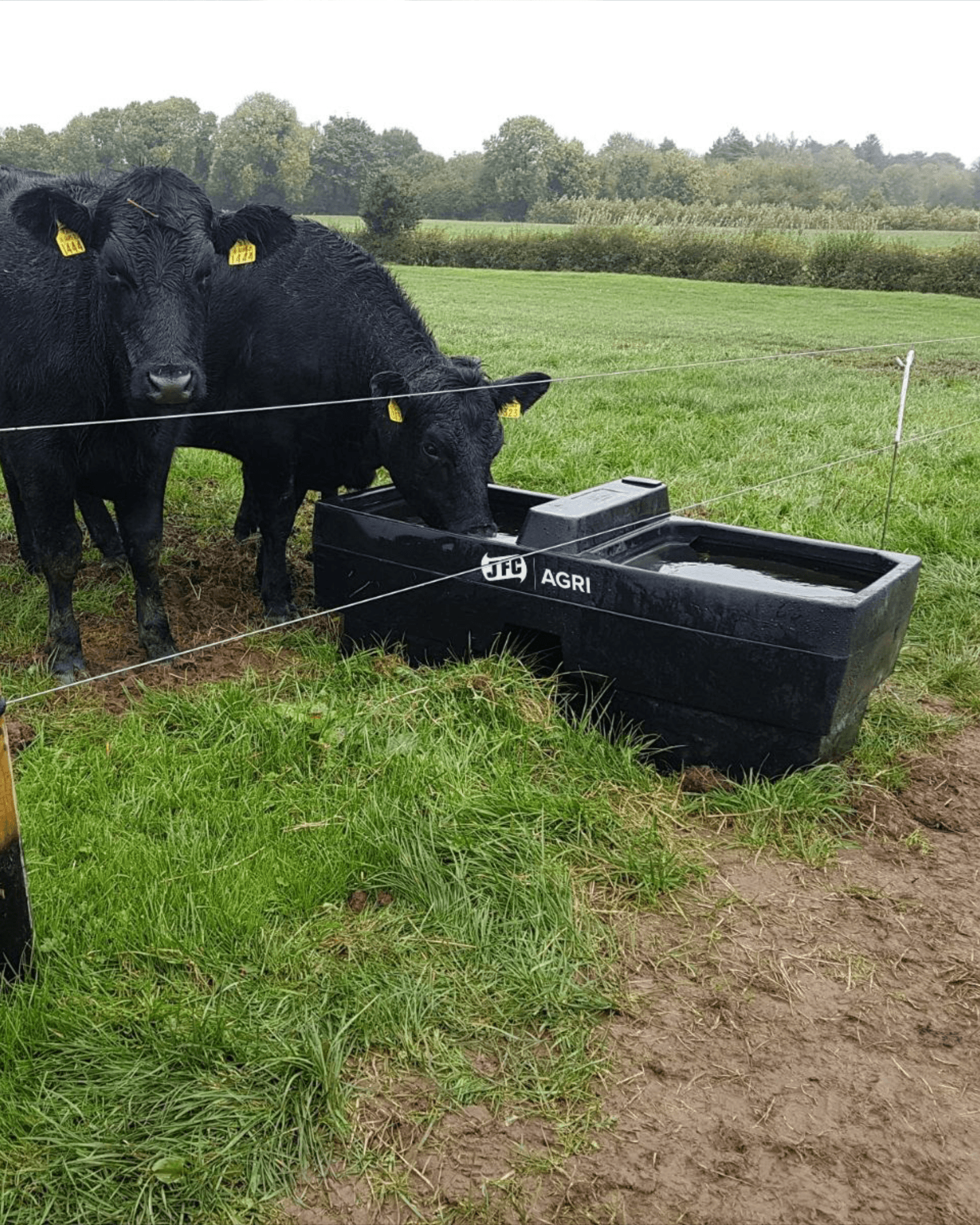 Double Chambered Trough-photo