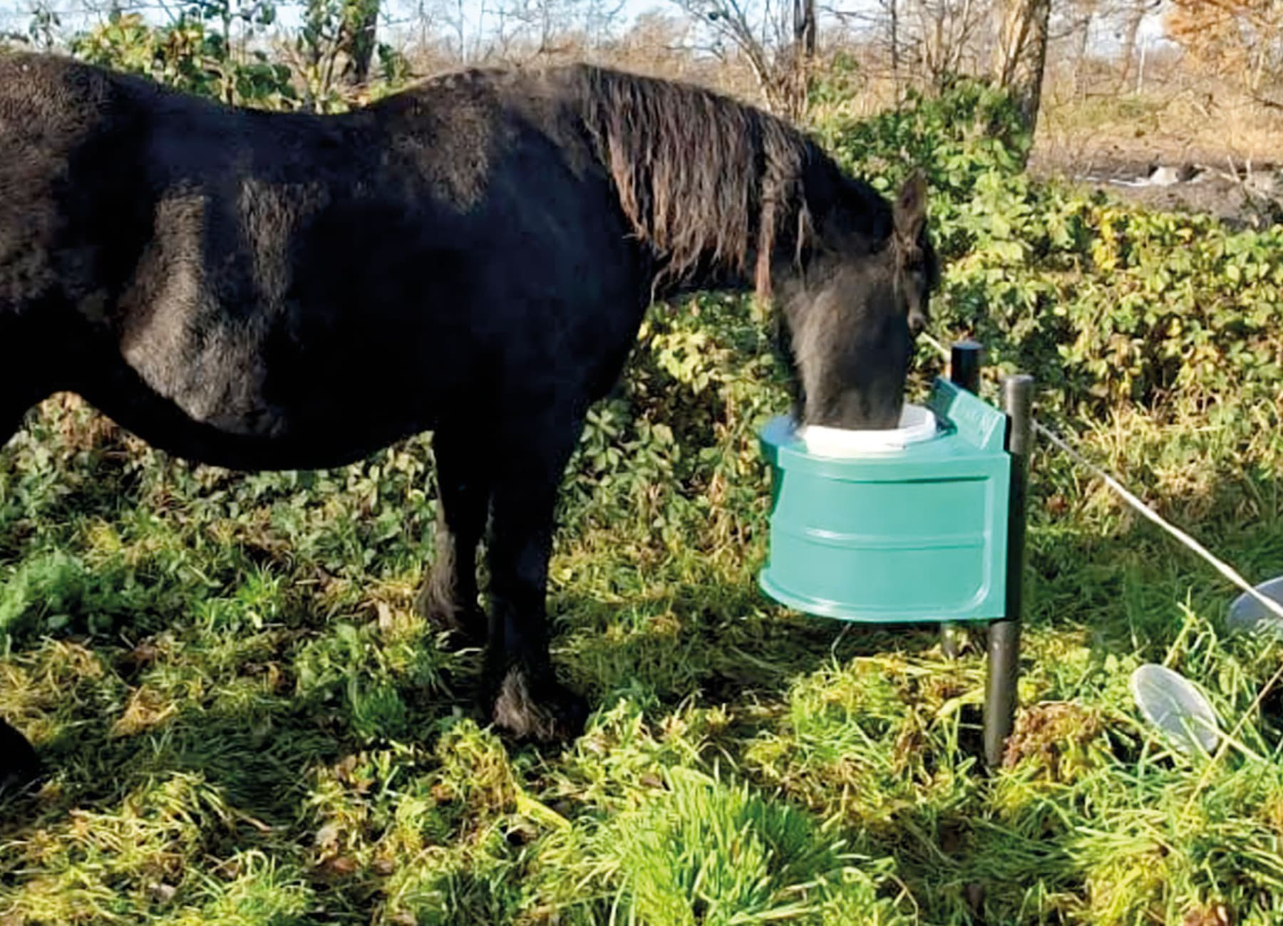 Thermal Water Trough-photo